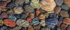 USA, Washington State, Seabeck. Panoramic  of beach rocks and cockle shell on Hood Canal shore. Art Print
